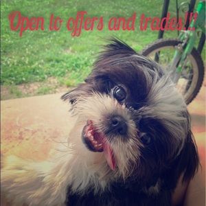 Open to offers and trades!!